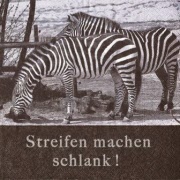 2 zebras ( streifen machen schlank) 001