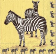 2 zebras 001