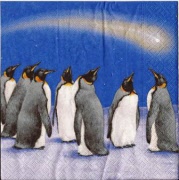 5 pinguine 001