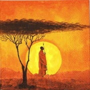 african sunset 001