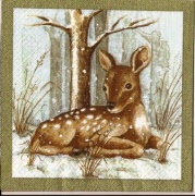 bambi  im wald 001