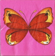 big butterfly pink 001