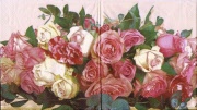 border of roses - creme 001