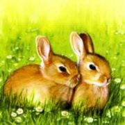 bunny friends 01185