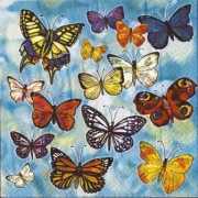 butterflyses 001