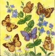 butterflyses gelb 001
