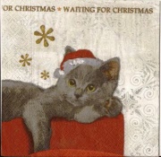 christmas cat 001