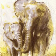 elefanten mutter mit baby 001