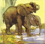 elefanten mutter mit kind am wasser 001