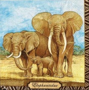 elefantenfamilie 001