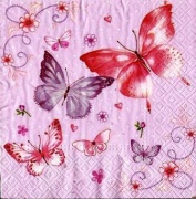 gentle butterflies 001