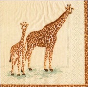 giraffen 001