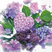 ln0456 floral harmony