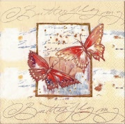 my butterfly rosa 001