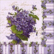 my lady violets - purple 001