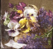 old england violets 001
