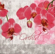 orchid pink 001