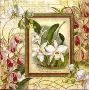 orchideenbild 001