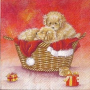 puppies in a basket 001