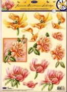 rose  tulpe anemone 001