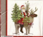 santa and reindeer 001