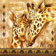 zebra africa 001