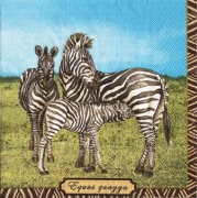 zebra familie 001